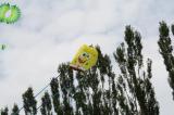 Spongebob freut sich über den ersten leichten Wind!