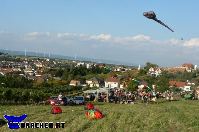 drache_at_2007_mattersburg drache_at_2007_mattersburg